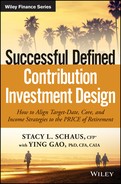 Cover image for Successful Defined Contribution Investment Design