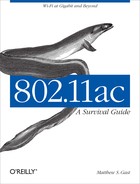 Cover image for 802.11ac: A Survival Guide