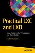 Practical LXC and LXD: Linux Containers for Virtualization and Orchestration 