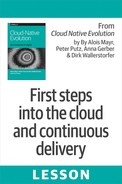 First steps into the cloud and continuous delivery 