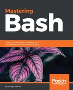 Cover image for Mastering Bash