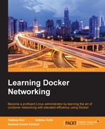 Cover image for Learning Docker Networking