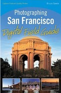 Photographing San Francisco: Digital Field Guide 