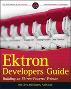 Cover image for Ektron Developer's Guide: Building an Ektron Powered Website