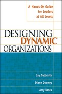 Cover image for Designing Dynamic Organizations