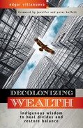 Cover image for Decolonizing Wealth