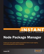 Instant Node Package Module 